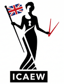 Vineet Jain | ICAEW